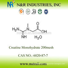 wholesale creatine monohydrate powder 99.5% 80mesh and 200mesh 6020-87-7